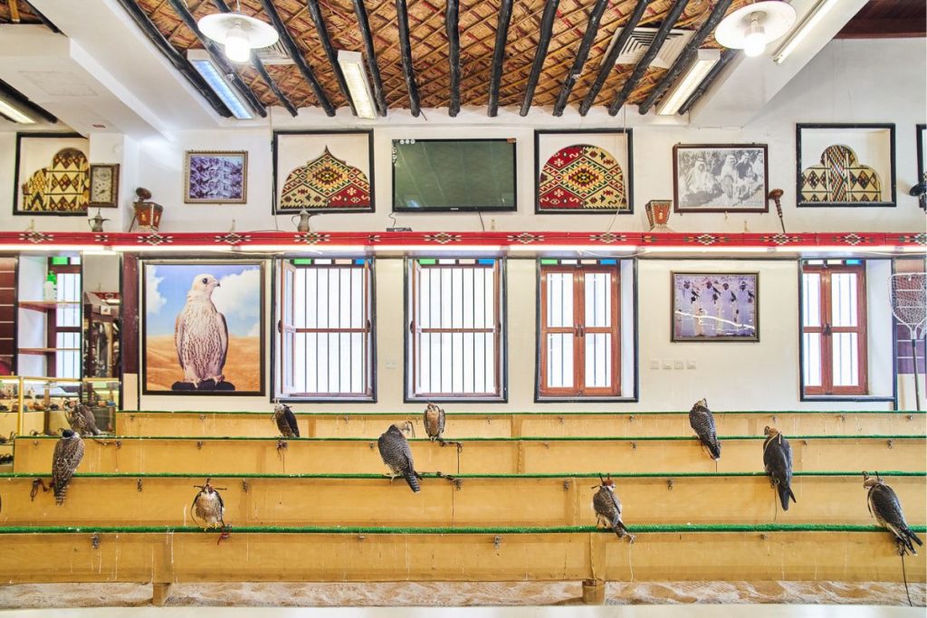 falcon souq