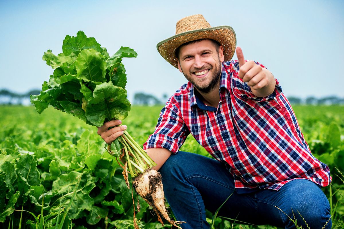 Agriexperience