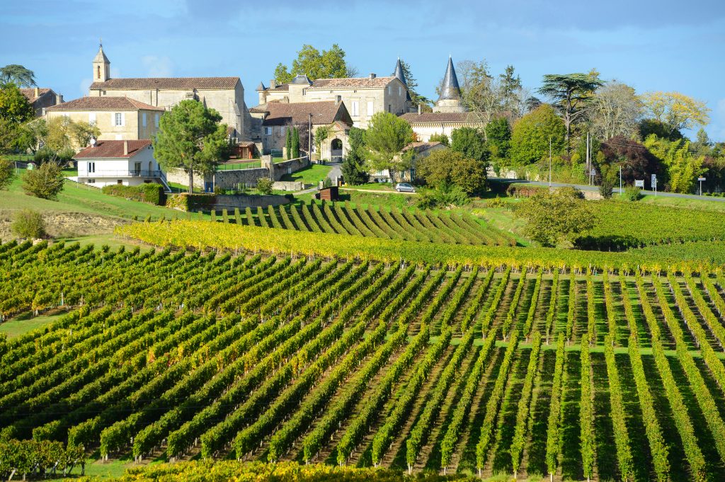 Bordeaux vigneti