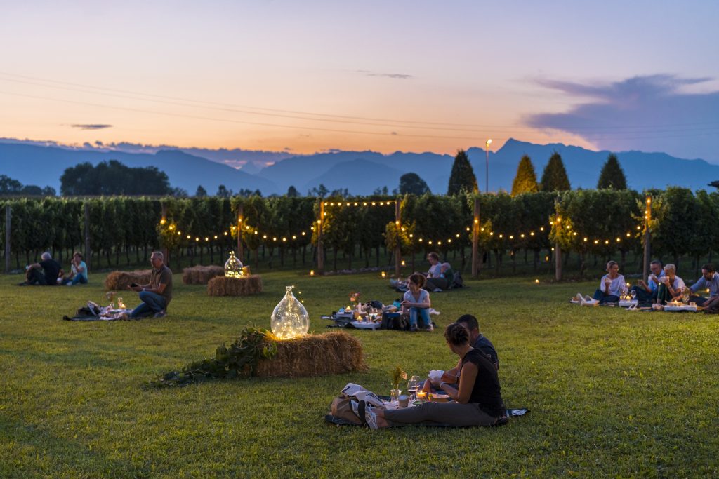 Picnic and taste