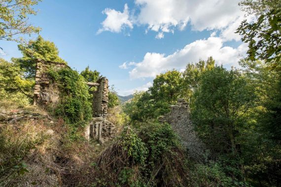 Ronco del Cianco, credits Stefano Belacchi