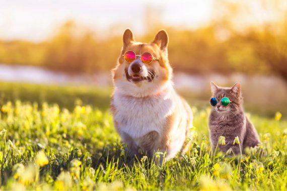 vacanza pet friendly