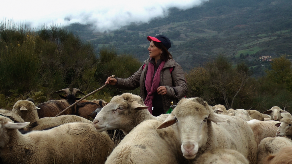 Viaggio tra le donne pastore in Italia