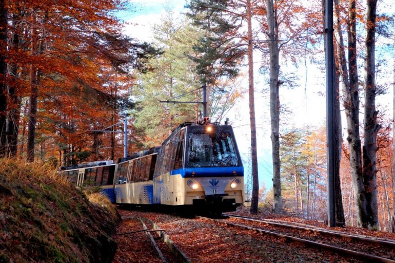 Treno del foliage, credits Vigezzina Centovalli