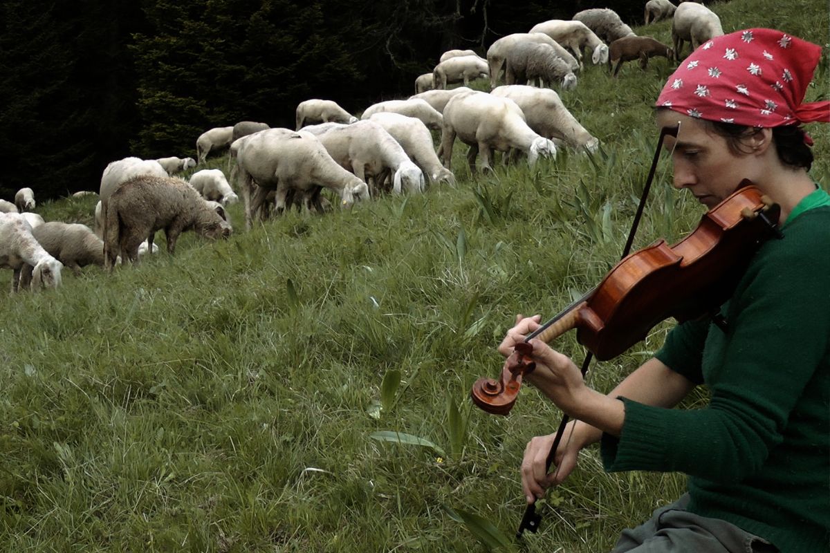 Viaggio tra le donne pastore in Italia