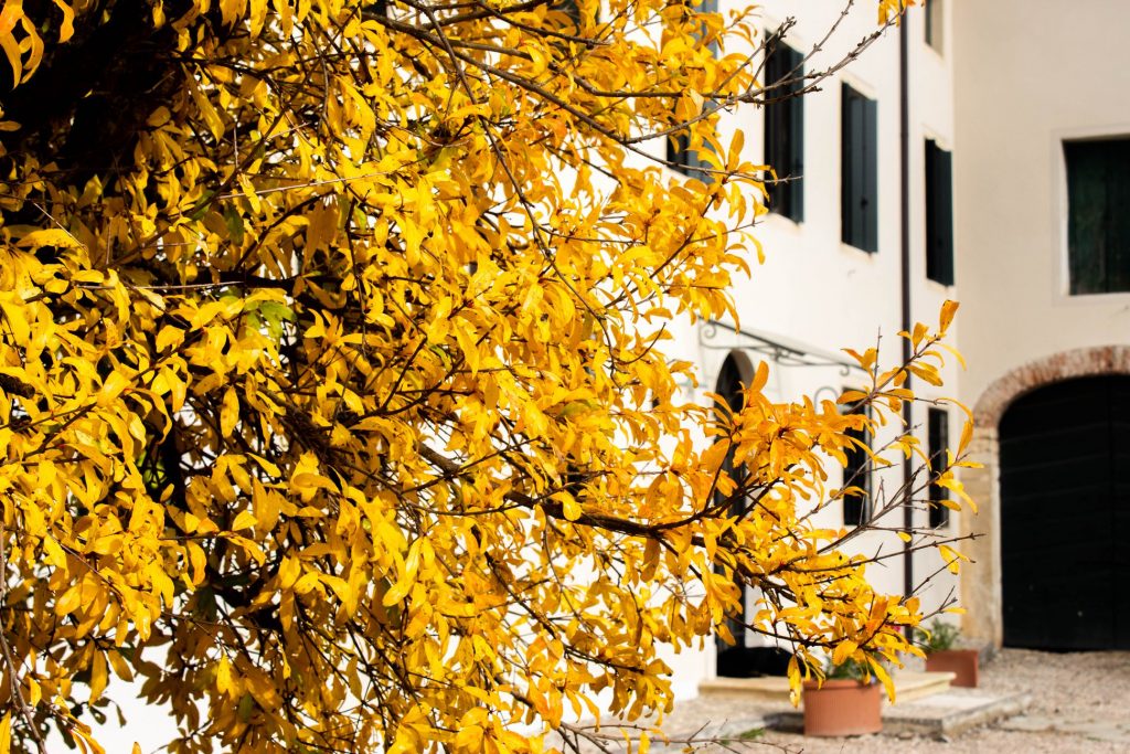Villa Borgo Feriani Dimore Amiche Foliage
