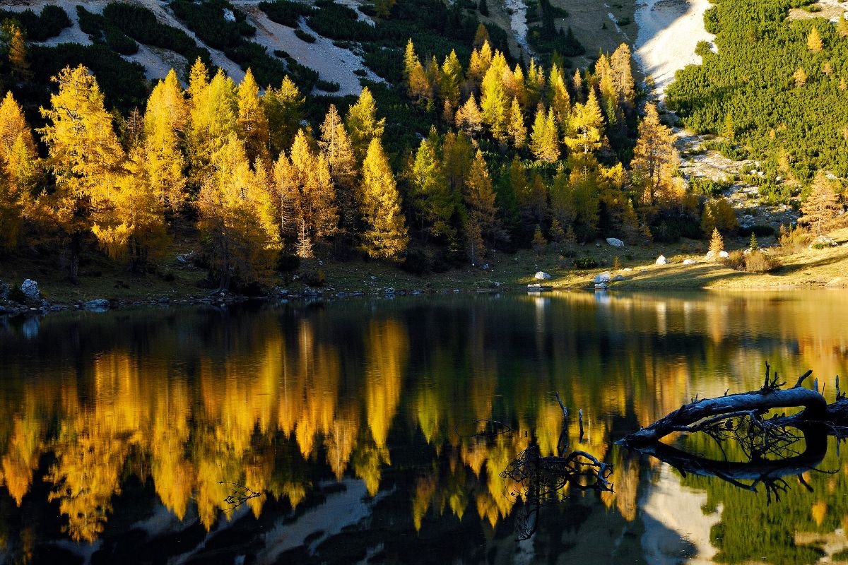 foliage in Friuli Venezia Giulia