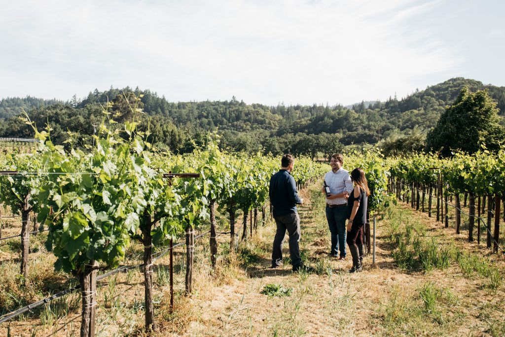 turismo del vino in Italia