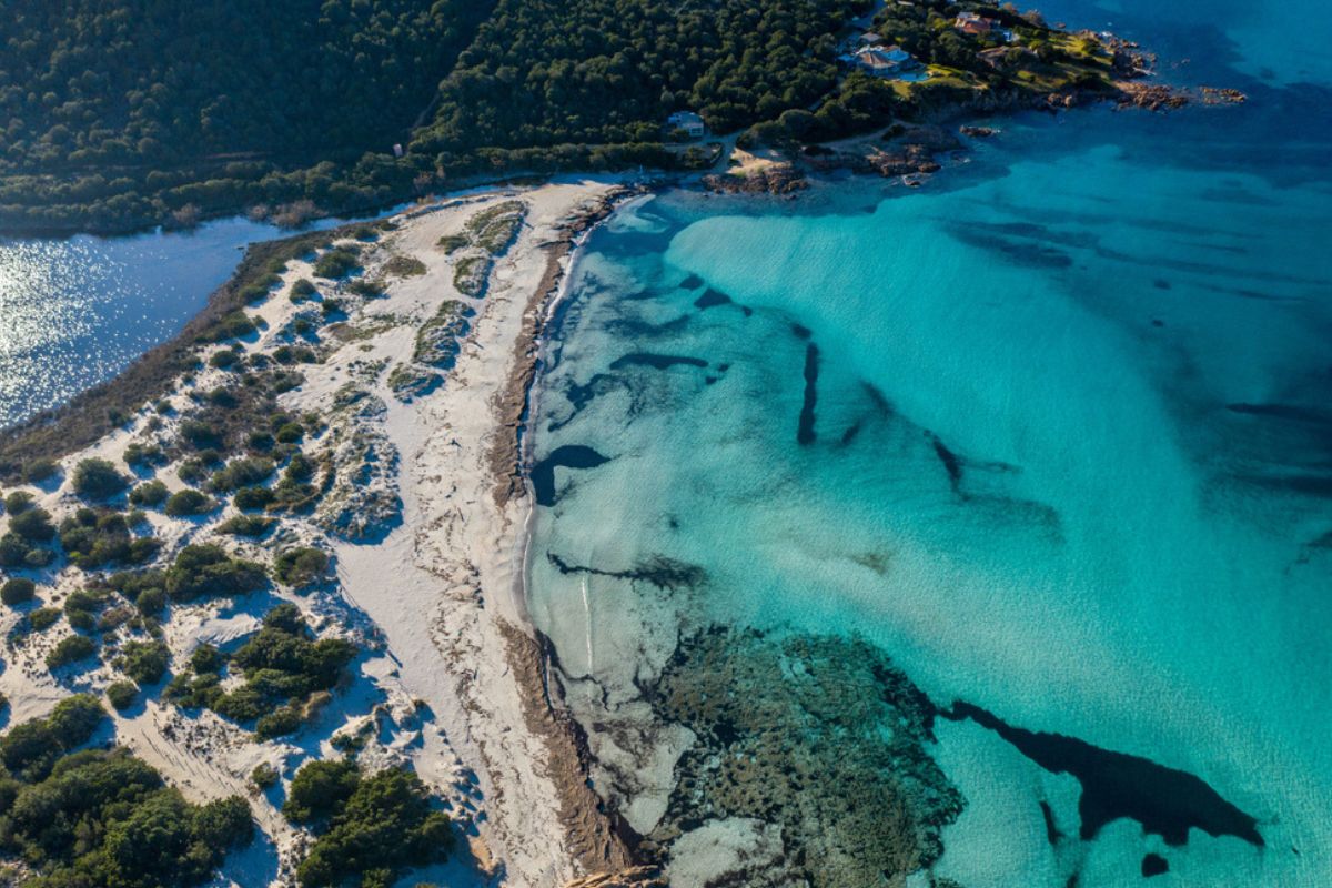 Trekking e Nature Life Coaching credits Erica Costa