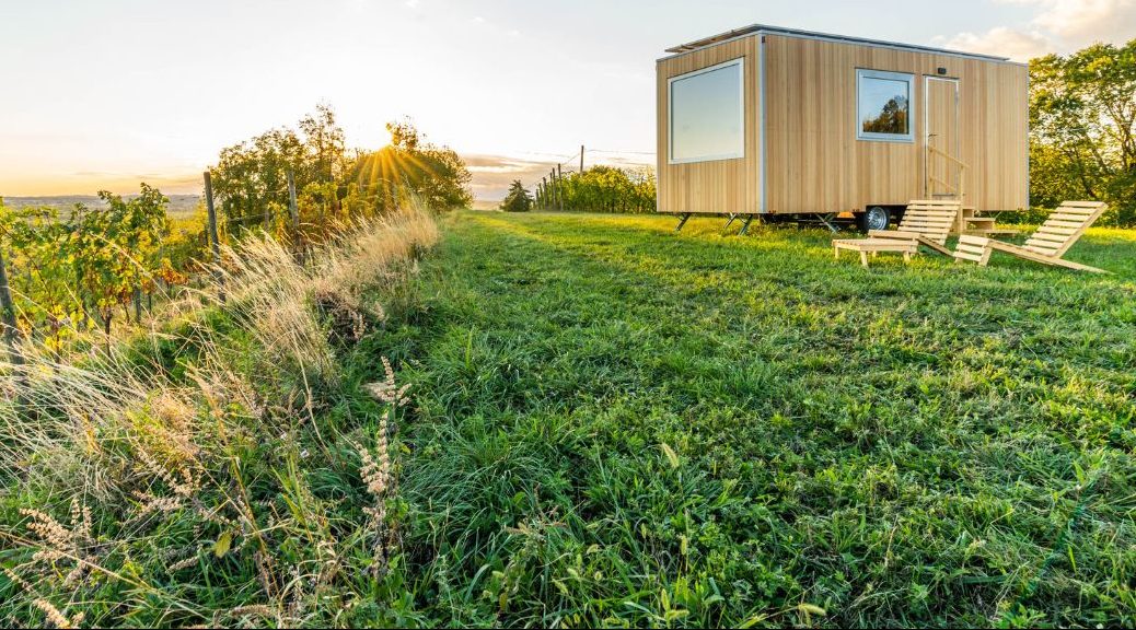 Uno degli eco-alloggi di Friland, Vigneto di Savorgnano