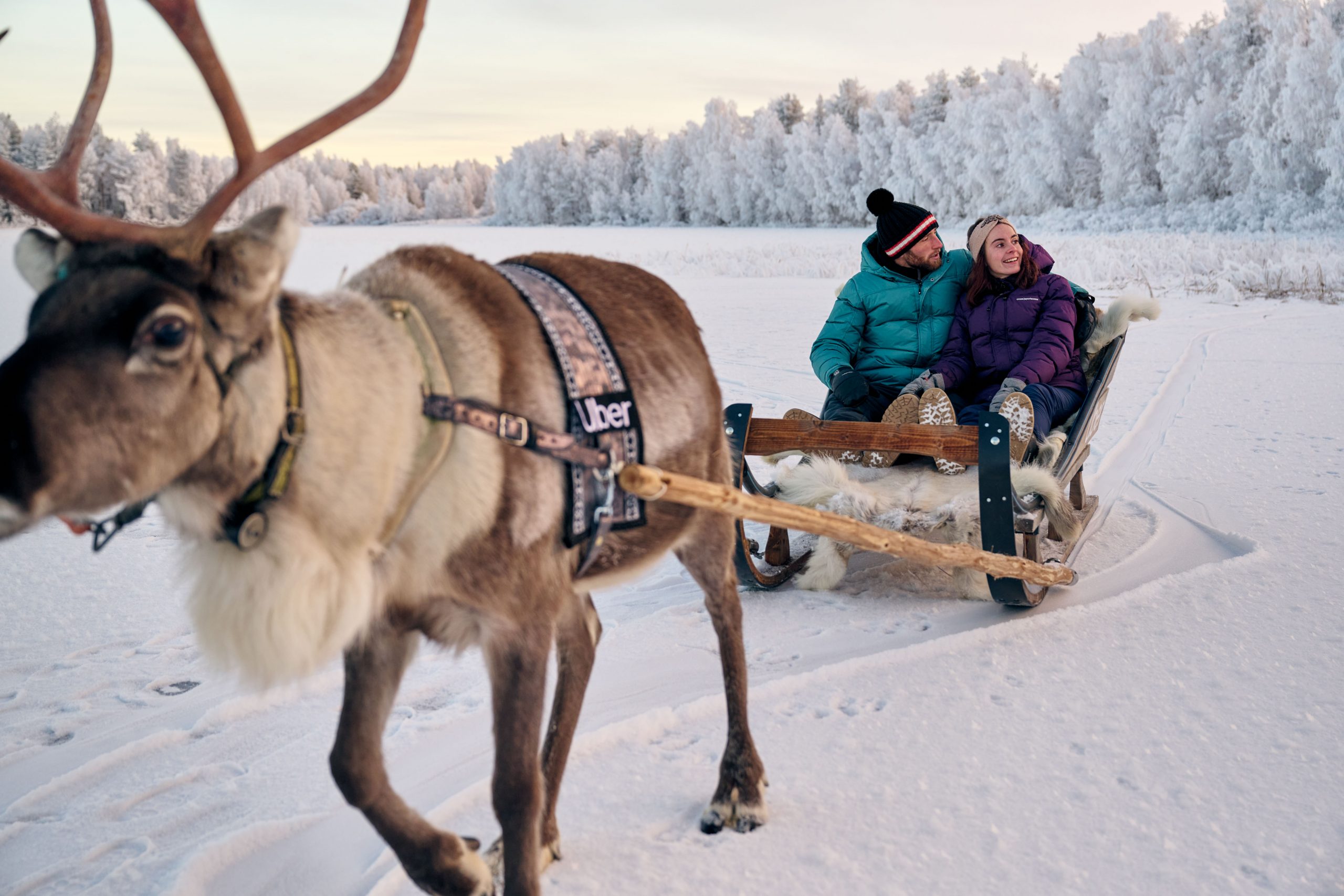 Uber Sleigh Rovaniemi