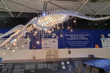 Grande Anima Fiumicino