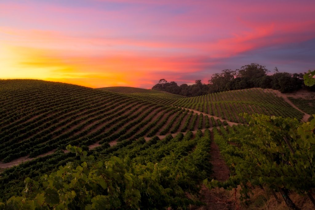 Four Seasons Drive Experience Napa Valley