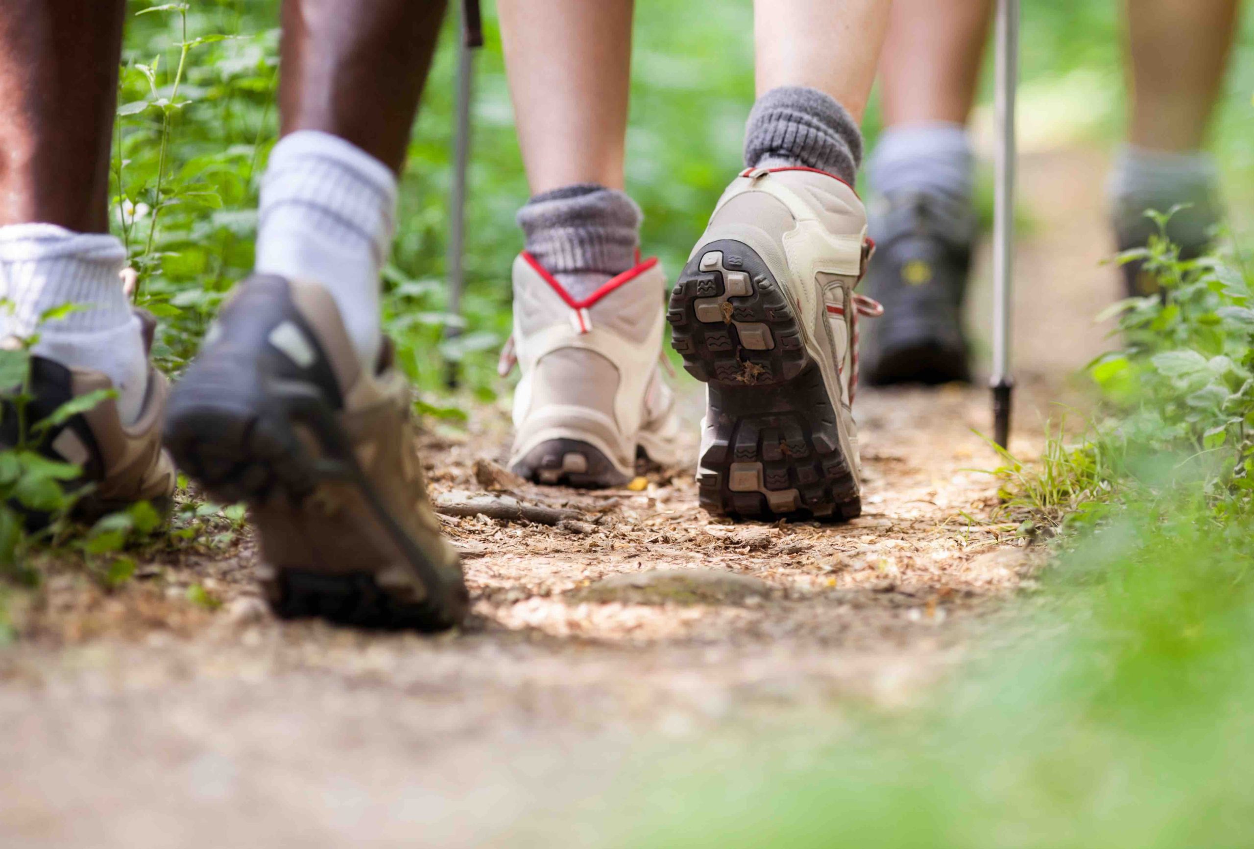 trekking