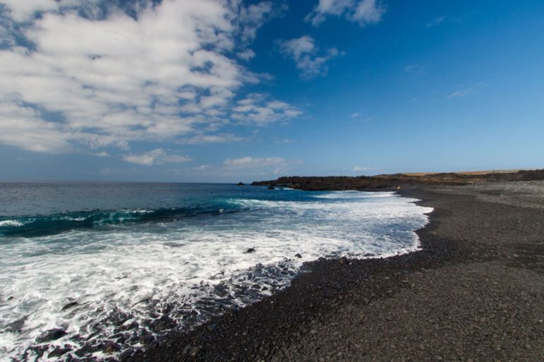 Canarie
