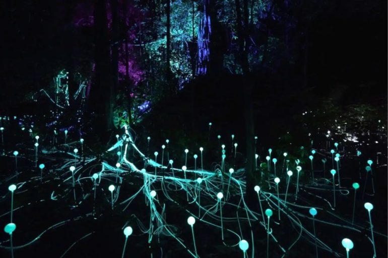 Dream Forest Langkawi