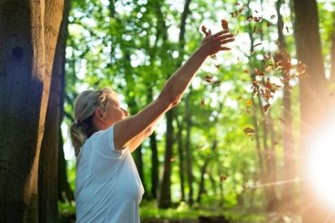 Forest bathing