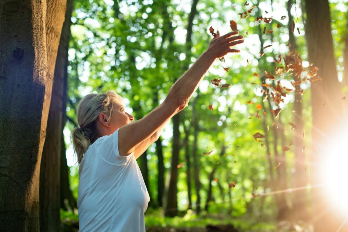 Forest bathing