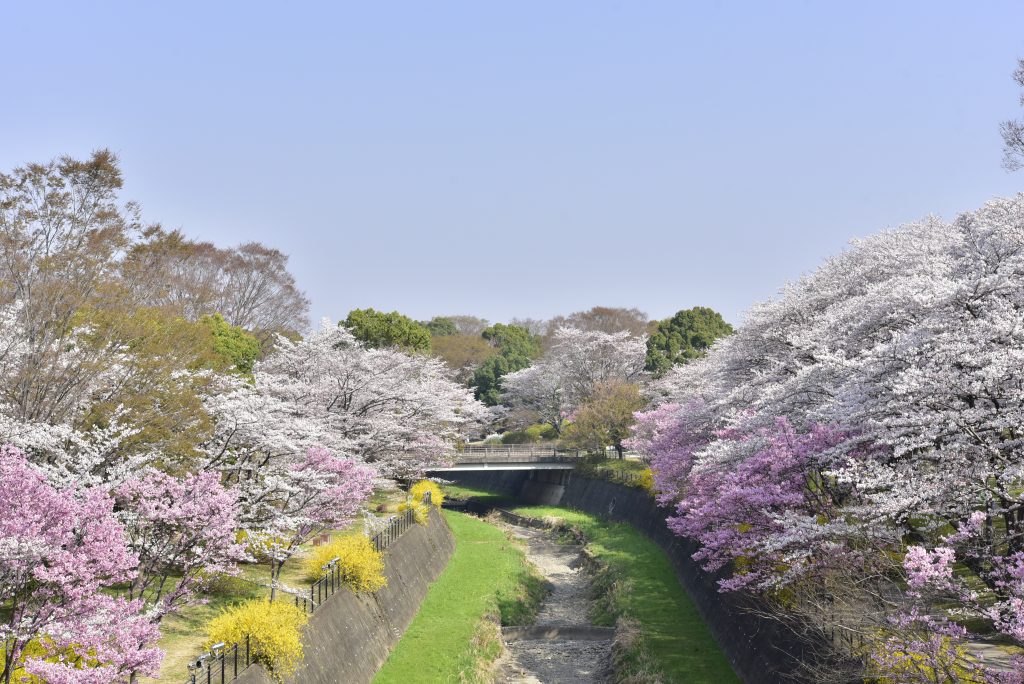 Tokyo, Showa Kinen Park