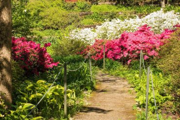 giardino delle azalee fvg