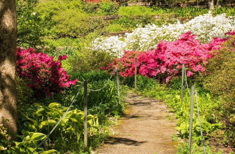 giardino delle azalee fvg