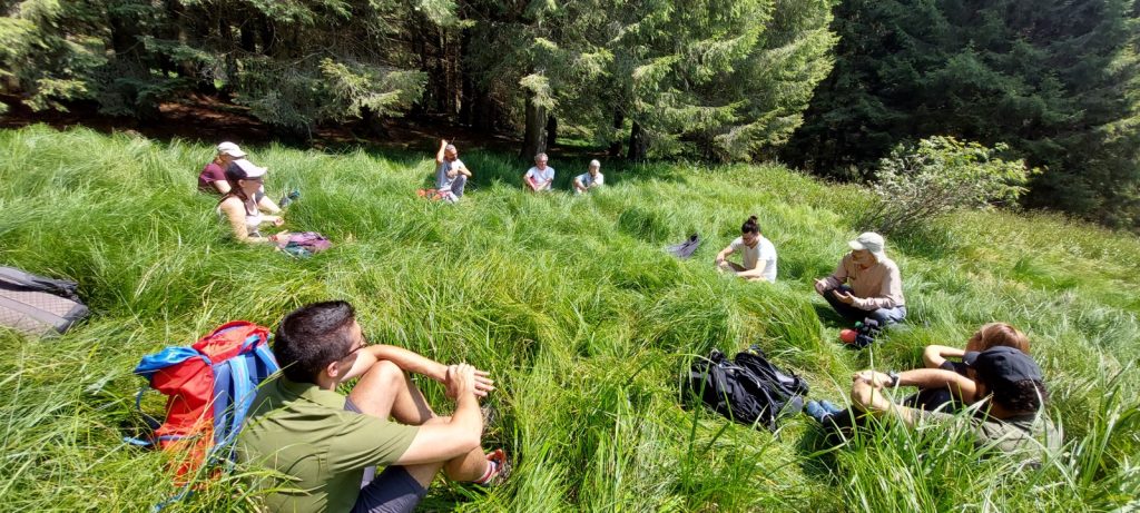 Forest bathing Valle degli elfi