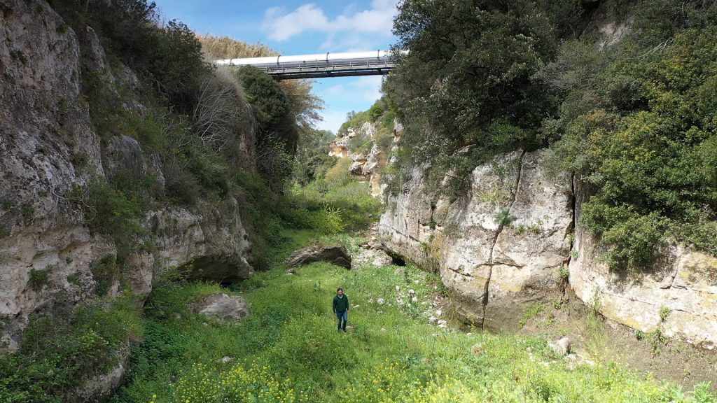 Pinuccio Puglia