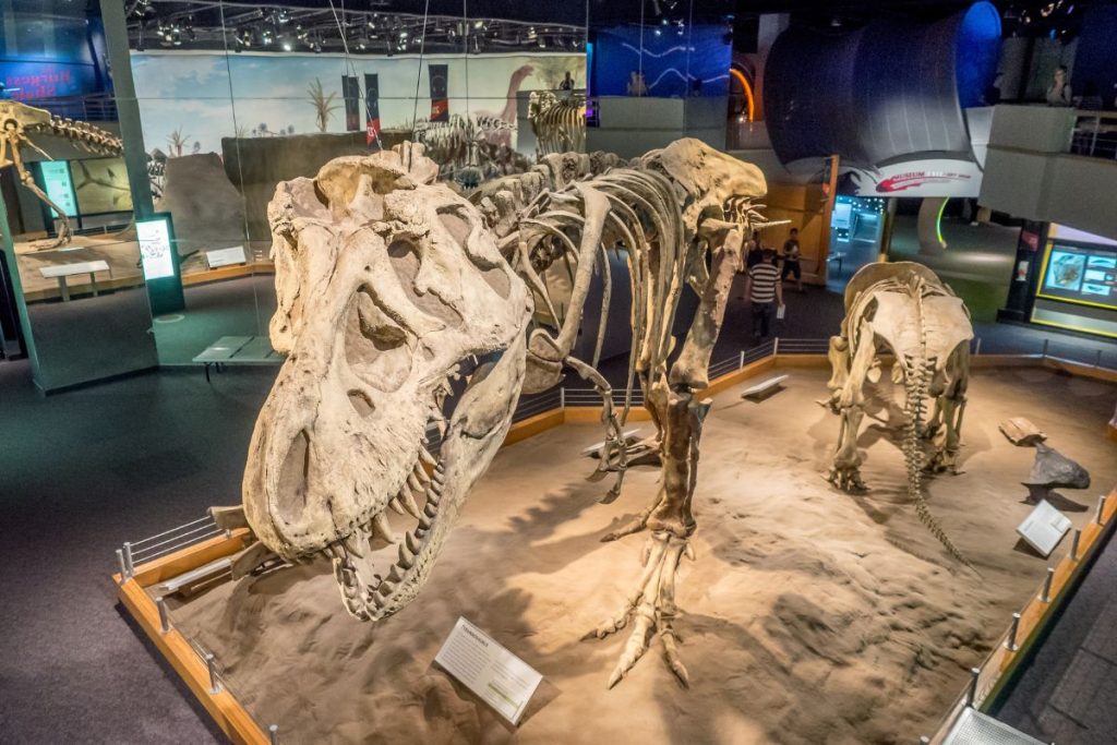 Royal Tyrrell Museum Drumheller, Alberta