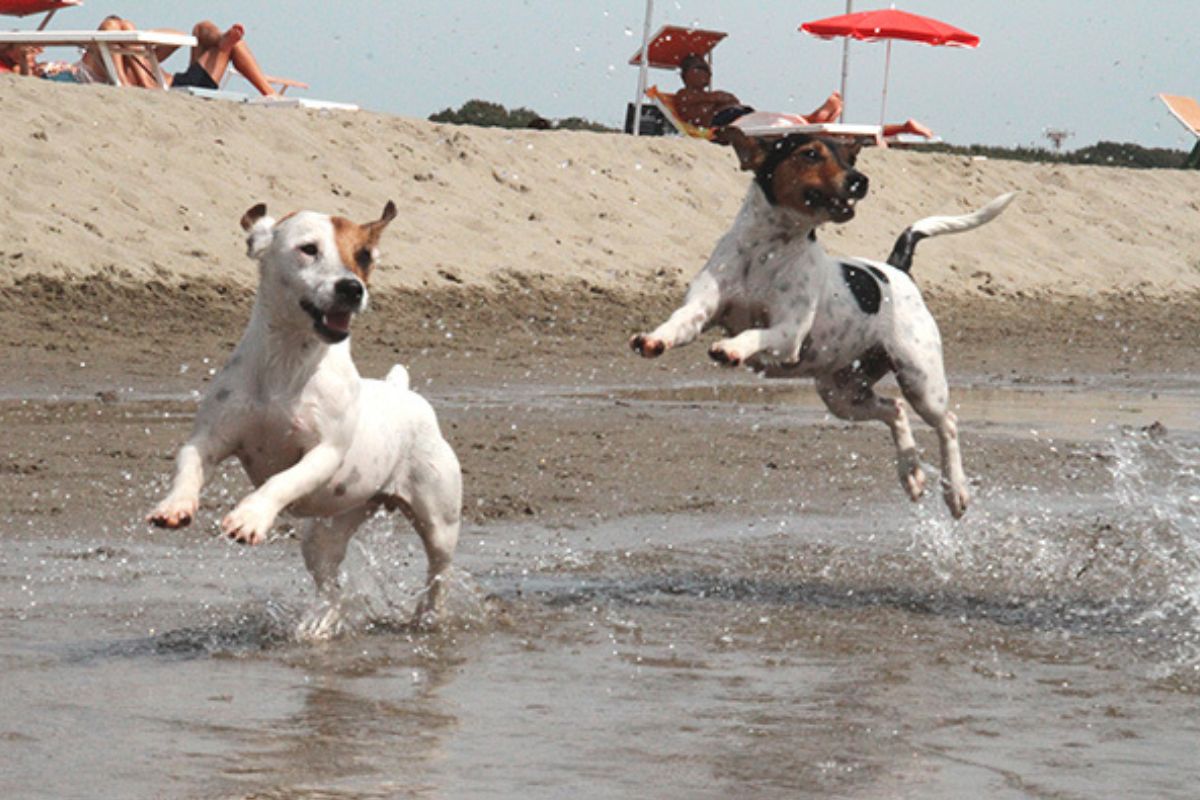 Baubeach