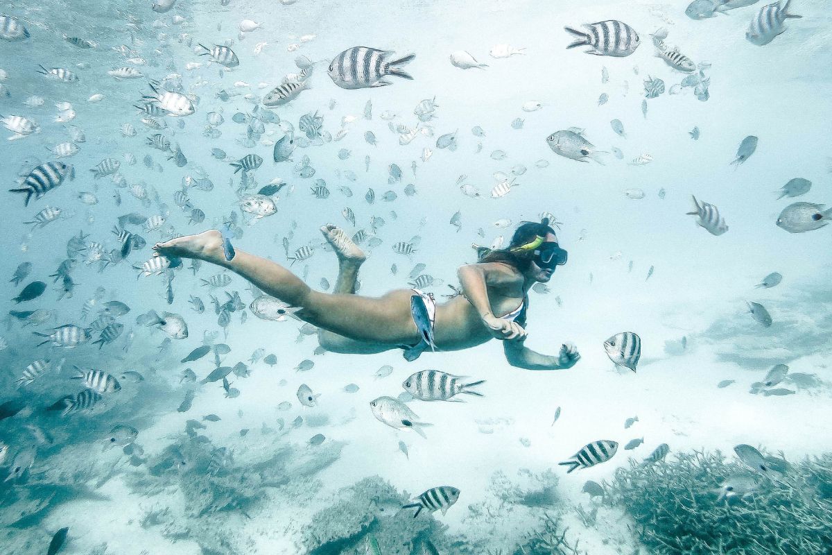 diving Mauritius