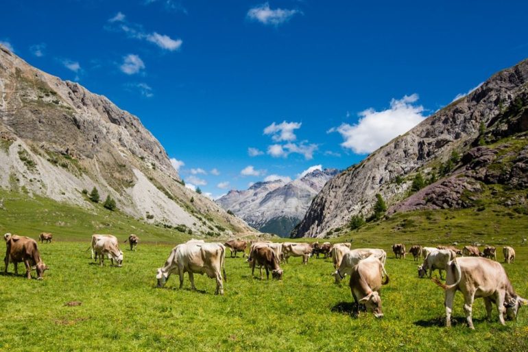 Valtellina