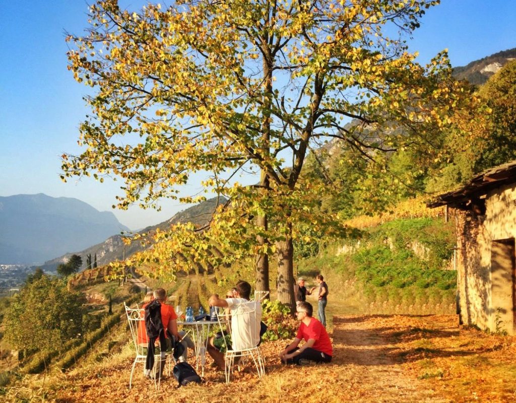 DiVinOttobre, Fototeca StradaVinoSaporiTrentino, credit Ph.L.Campologno