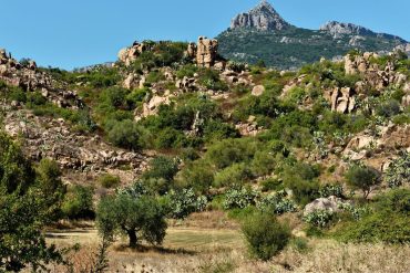 Ogliastra