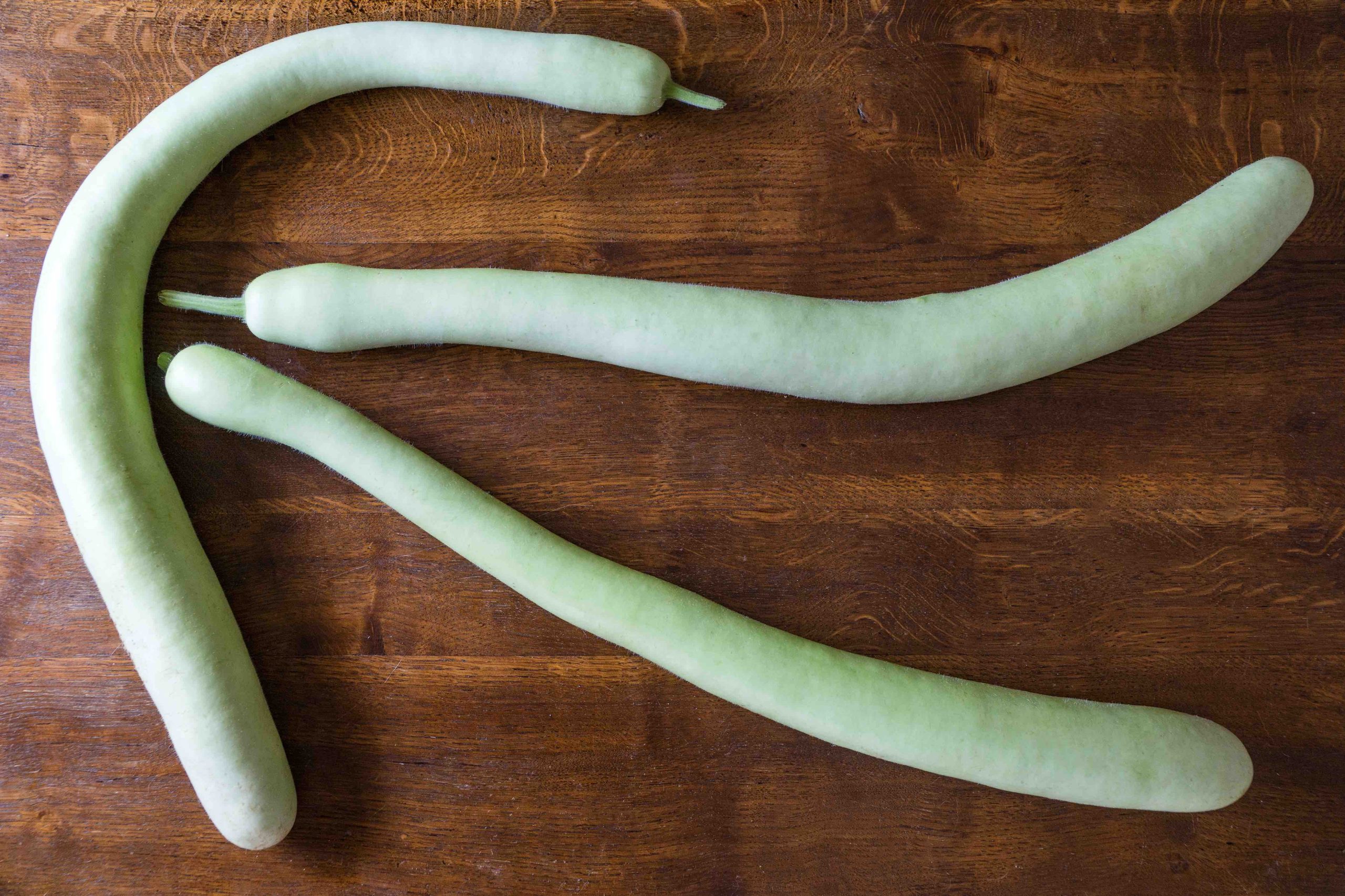 zucca lunga siciliana