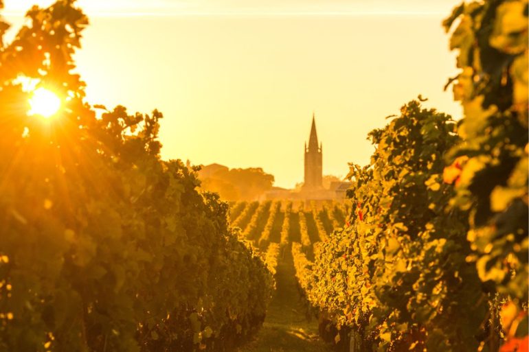 Vigneti a Bordeaux