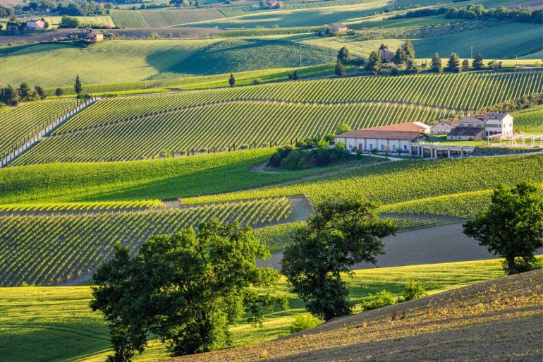 Macerata, paesaggio marchigiano