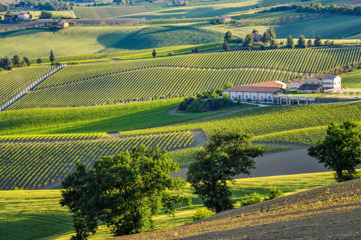 Macerata, paesaggio marchigiano