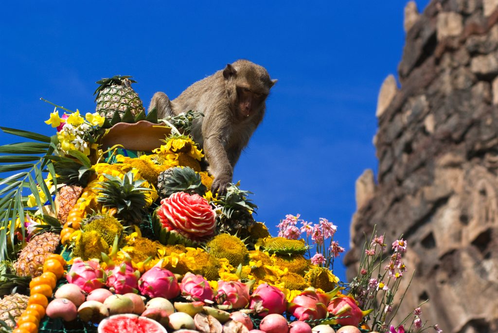 Lopburi, Banchetto delle scimmie, Thailandia