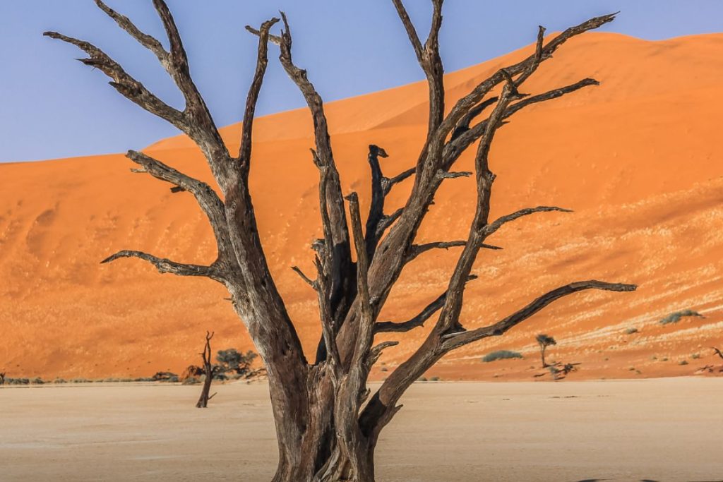 Deadvlei, Namibia