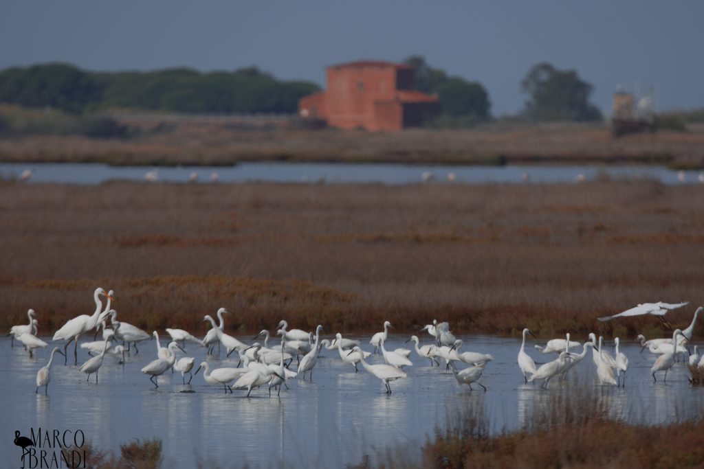 Paesaggio in Maremma, credits Marco Brandi