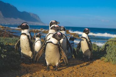 Sudafrica