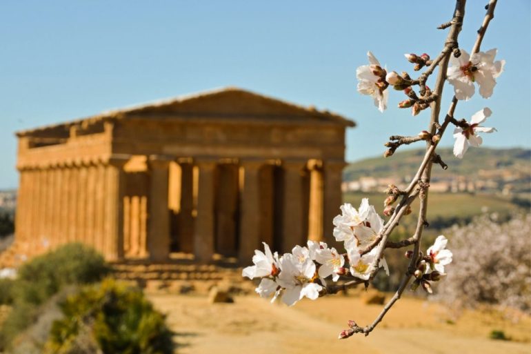 Agrigento, Mandorlo in fiore