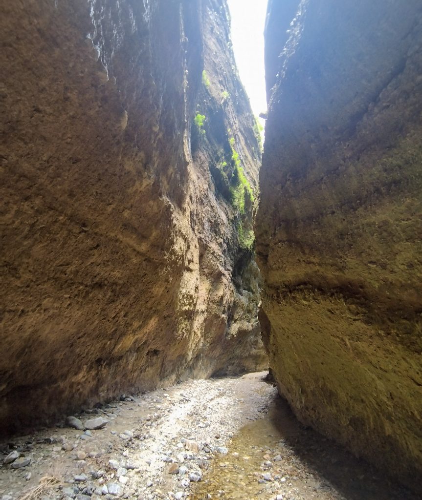 Canyon Valli Cupe