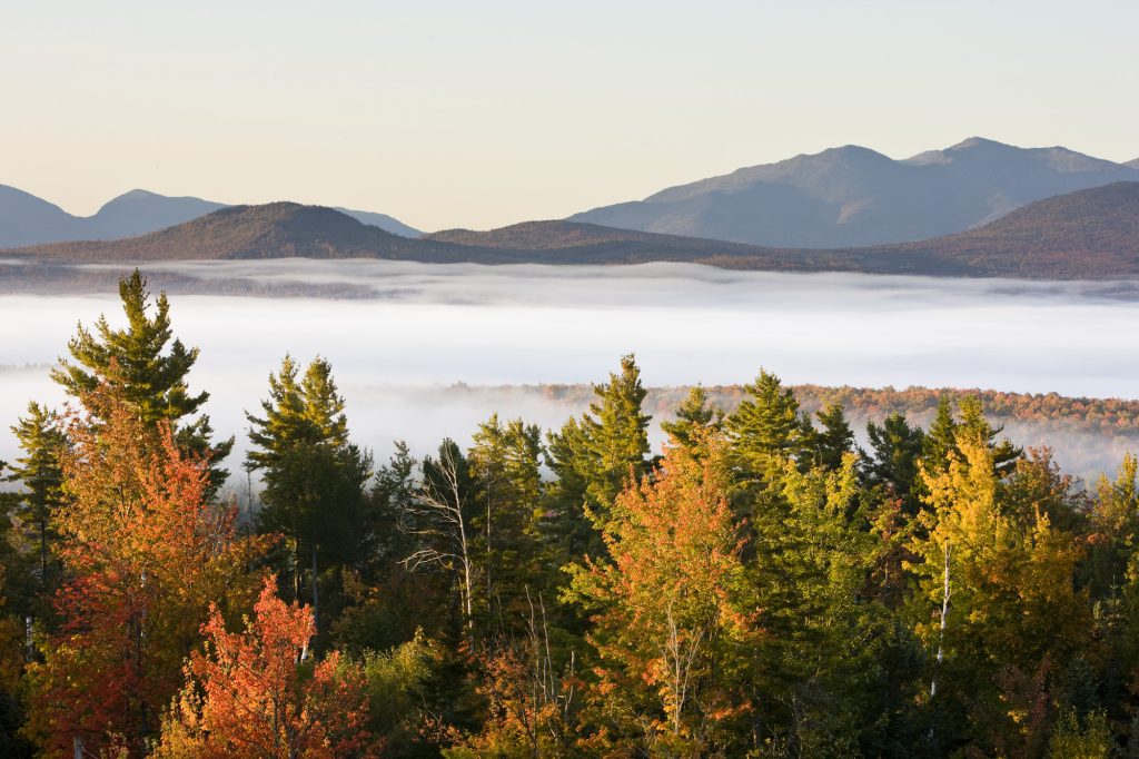 New Hampshire White Mountain
