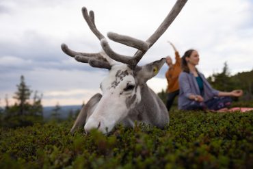 Visit Finland Vesku Lapponia ufficio stampa