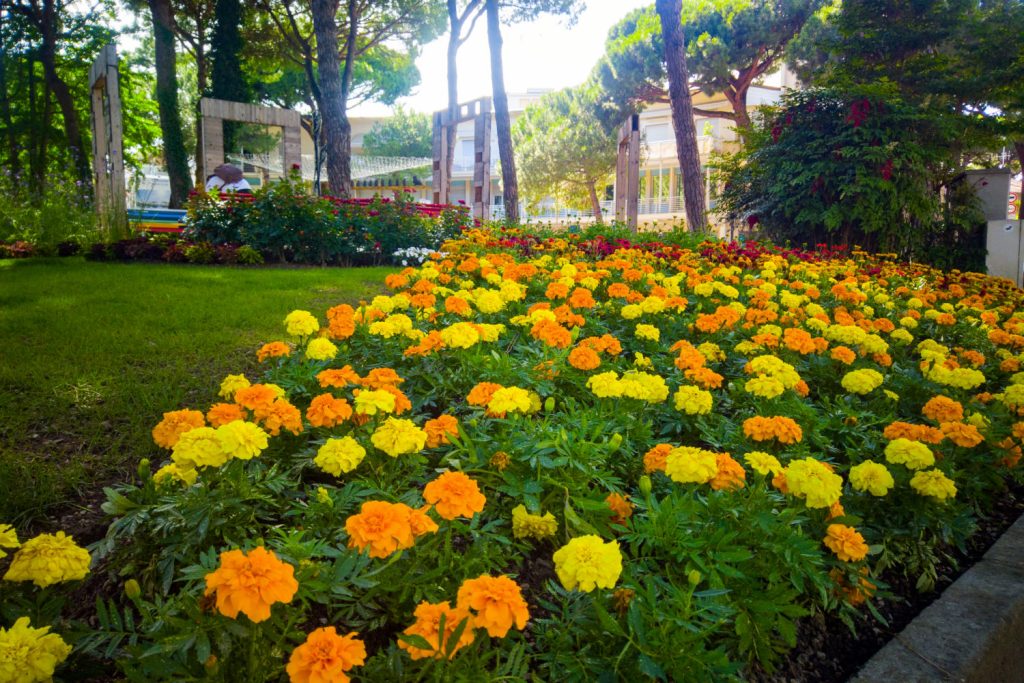 Cervia Città Giardino_Milano, credits Antonio Drago
