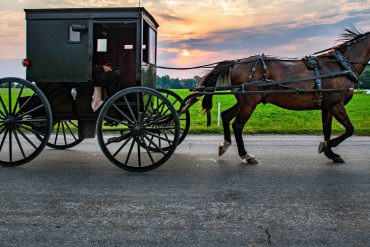 carrozza