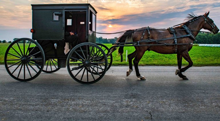 carrozza