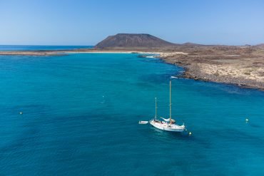 Canarie uff st