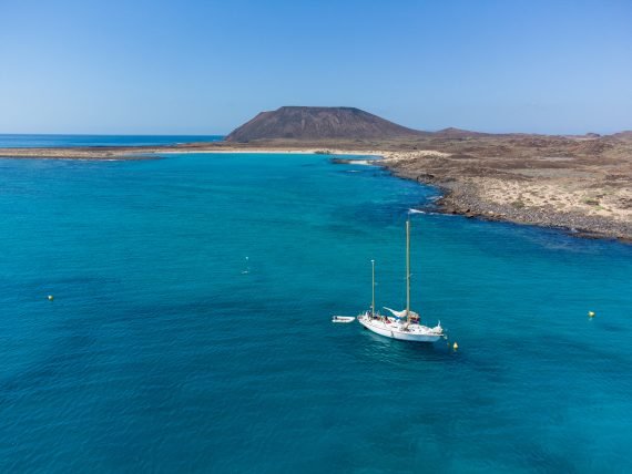 Canarie uff st